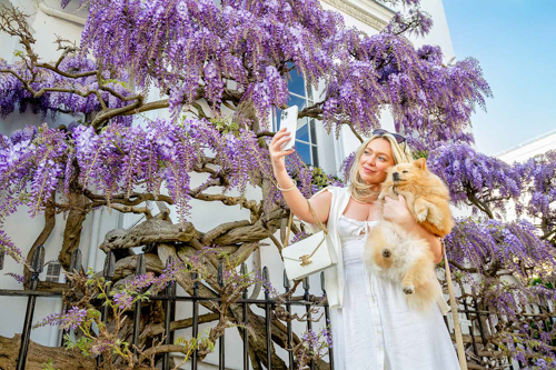 Opportunity Kensington