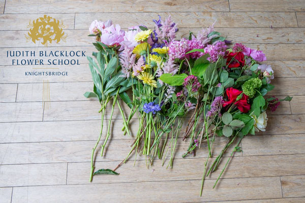 Judith Blacklock Flowers